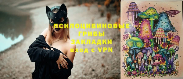 гашик Белоозёрский