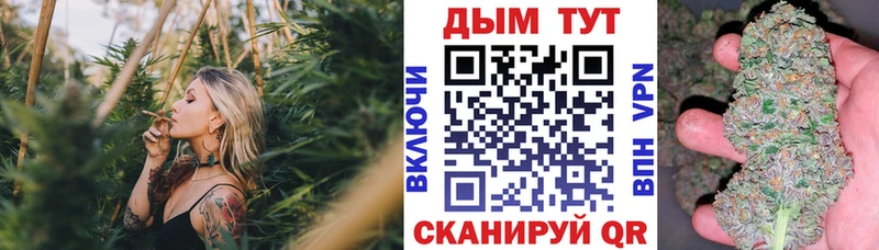 Бошки Шишки планчик  кракен tor  Шатура 